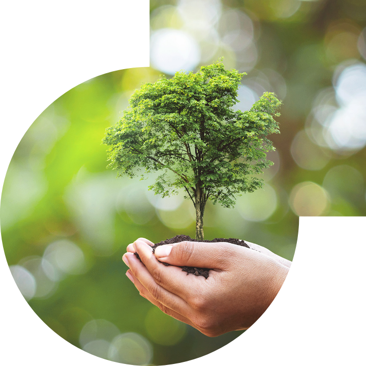 关怀人类、文化、环境与社会